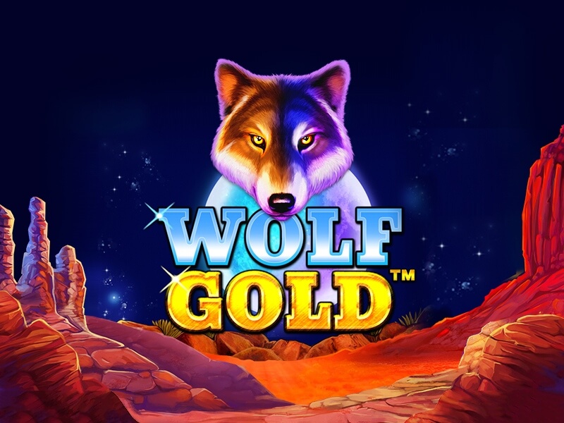 wolf-gold